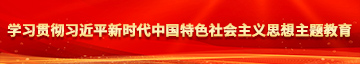 啊啊啊操操操学习贯彻习近平新时代中国特色社会主义思想主题教育