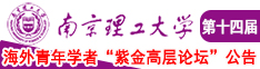 抽插嫩逼视频南京理工大学第十四届海外青年学者紫金论坛诚邀海内外英才！